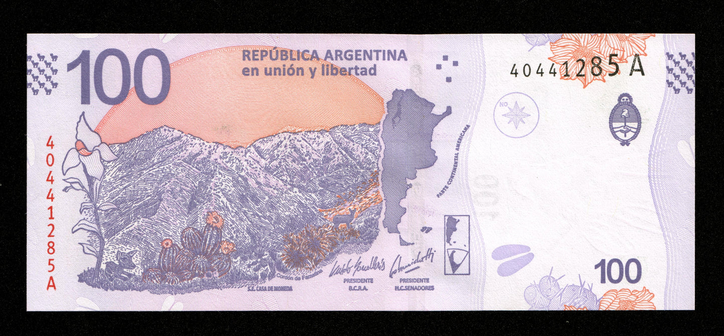 ARGENTINE - ARGENTINA - 100 Pesos (2018) Pick W363A NEUF / UNC