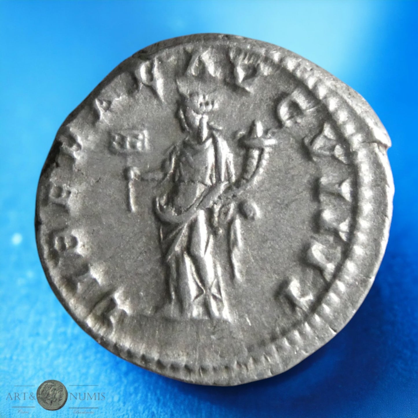 CARACALLA - Denier LIBERAL AVG VIIII, Rome RIC 302