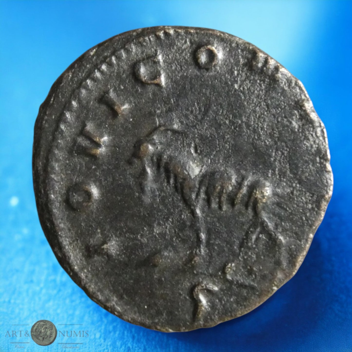 GALLIEN - Antoninien IOVI CONS AVG, Rome RIC.207