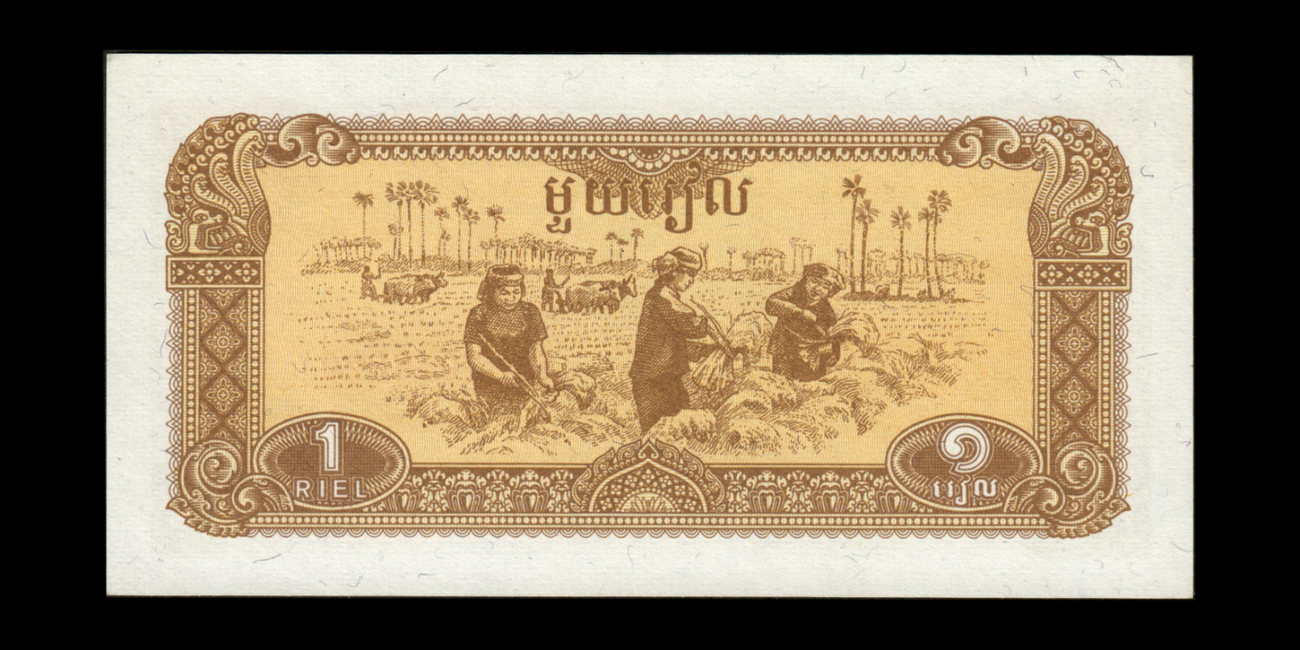 CAMBODGE - CAMBODIA - 1 Riel 1979 P.28a NEUF / UNC