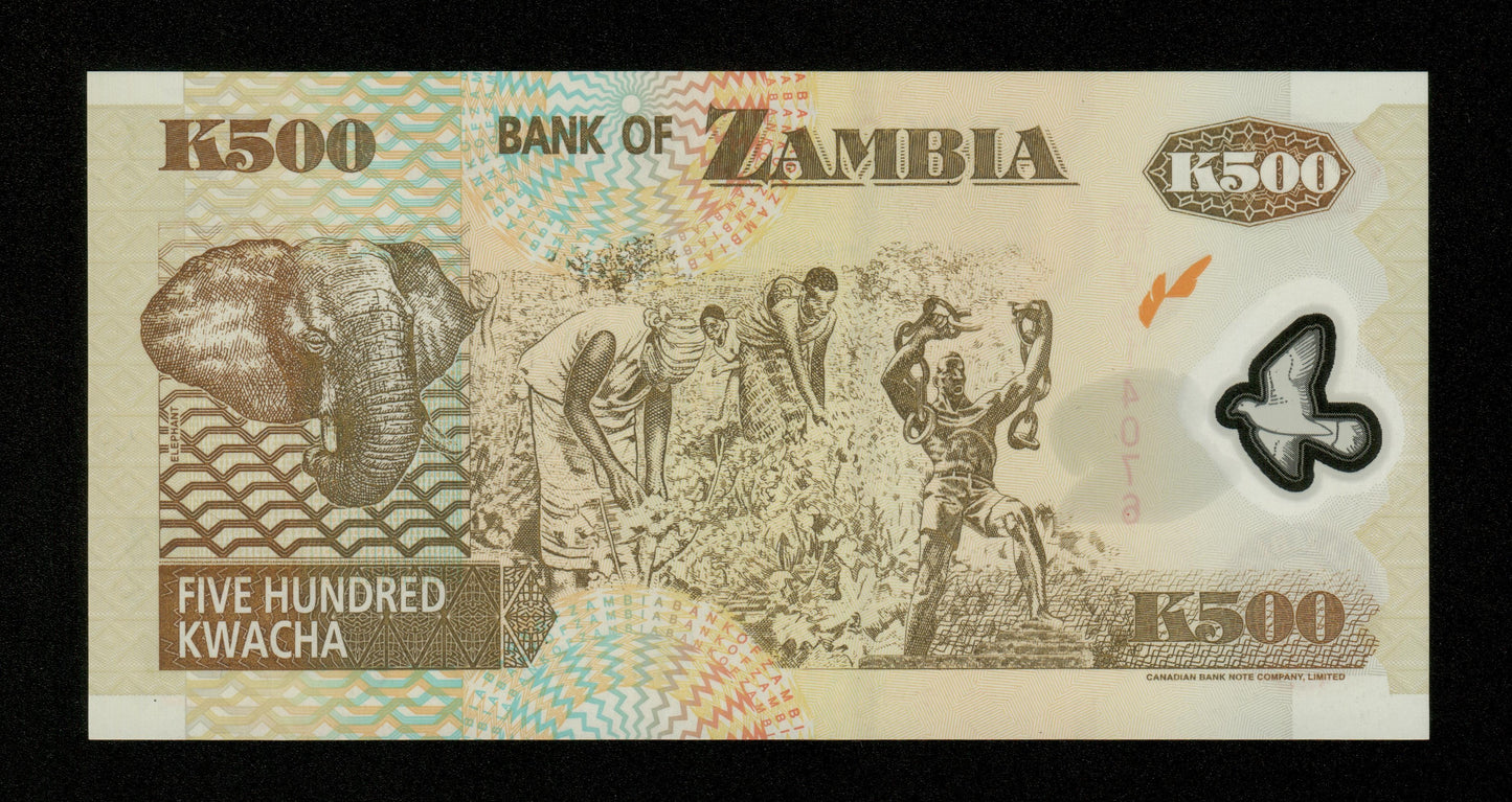 ZAMBIE - ZAMBIA - 500 Kwacha 2003 Polymer P.43b NEUF / UNC