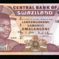 SWAZILAND - 20 Emalangeni 2001 P.30a NEUF / UNC