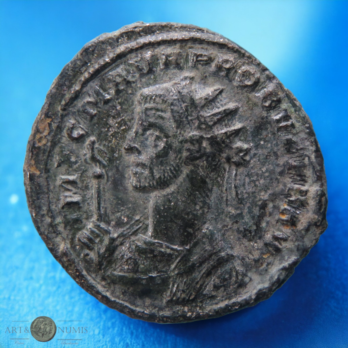 PROBUS - Antoninianus ROMAE AETERNAE, Rome