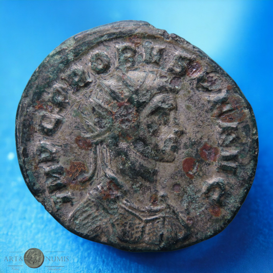 PROBUS - Antoninianus AERCVLI PACIF, Ticinum