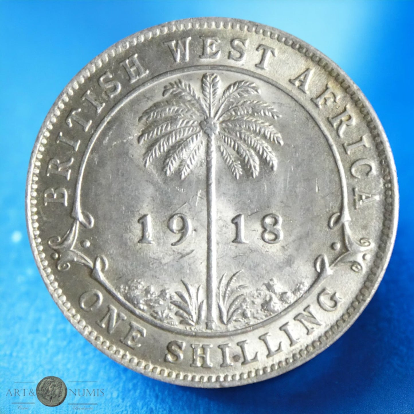 BRITISH WEST AFRICA - 1 Shilling 1918 KM.12