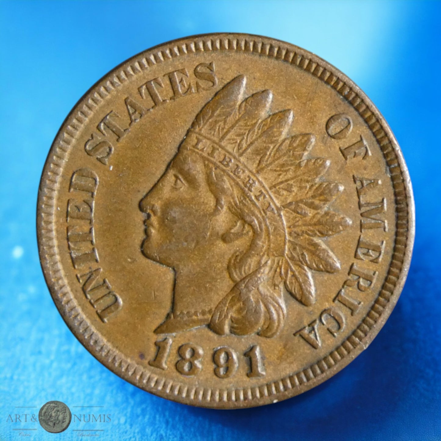 USA - 1 Cent Indian Head 1891 KM.90a