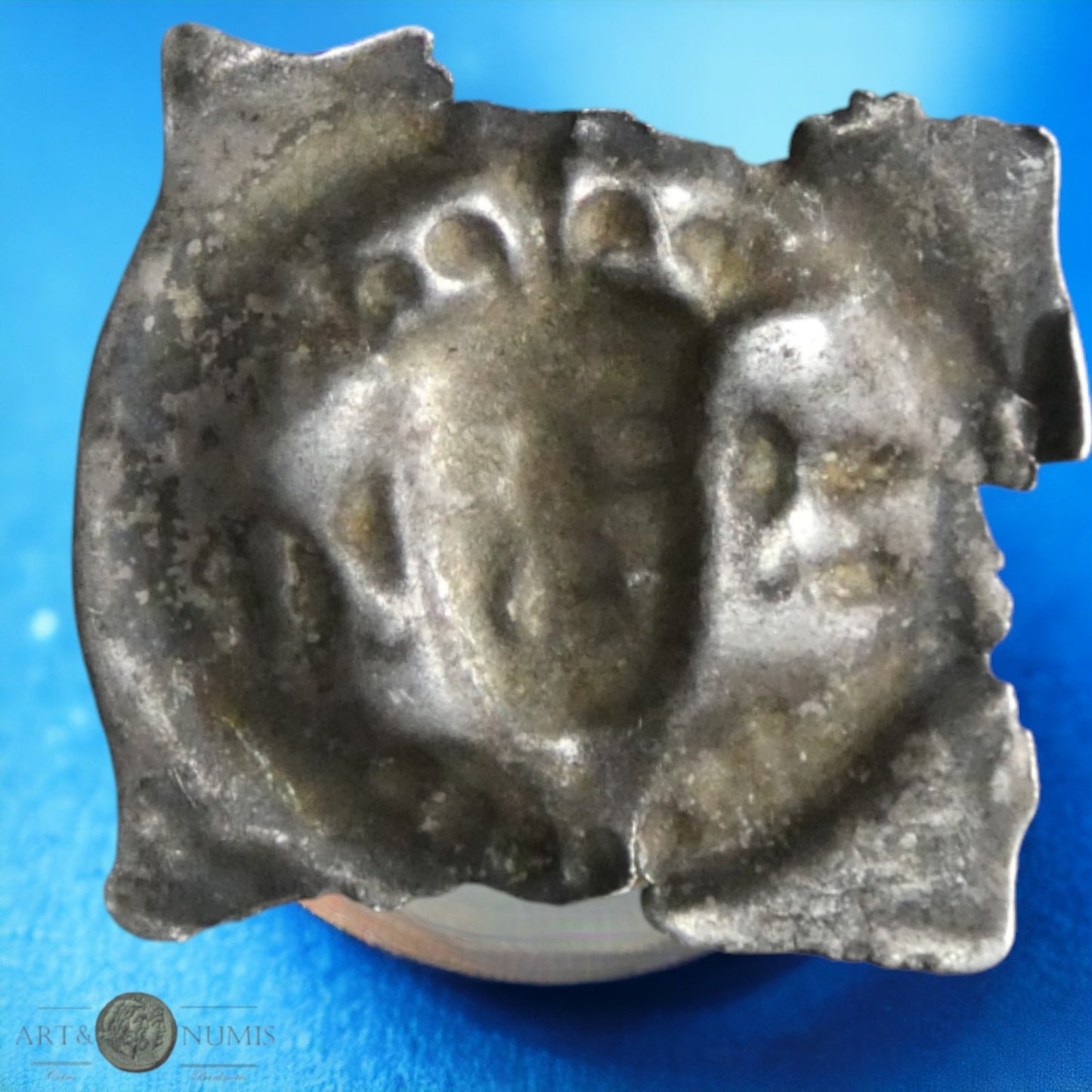 SUISSE - ARGAU - Zofingen - Friedrich der Schöne - Pfennig ou Brakteat (1314-1330)