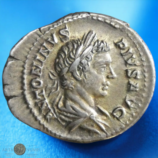CARACALLA - Denier "Felicitas"RIC.127
