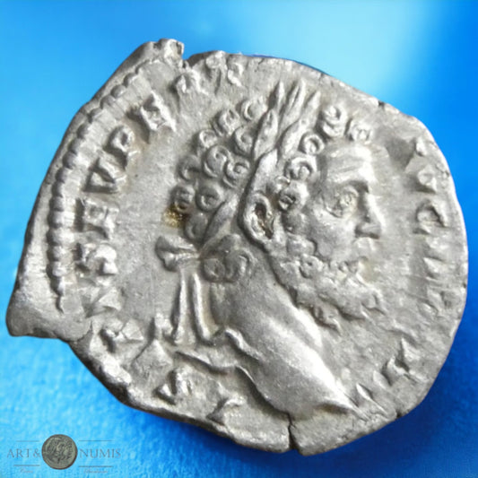 SEPTIME SEVERE - Denier "Minerve" RIC.68