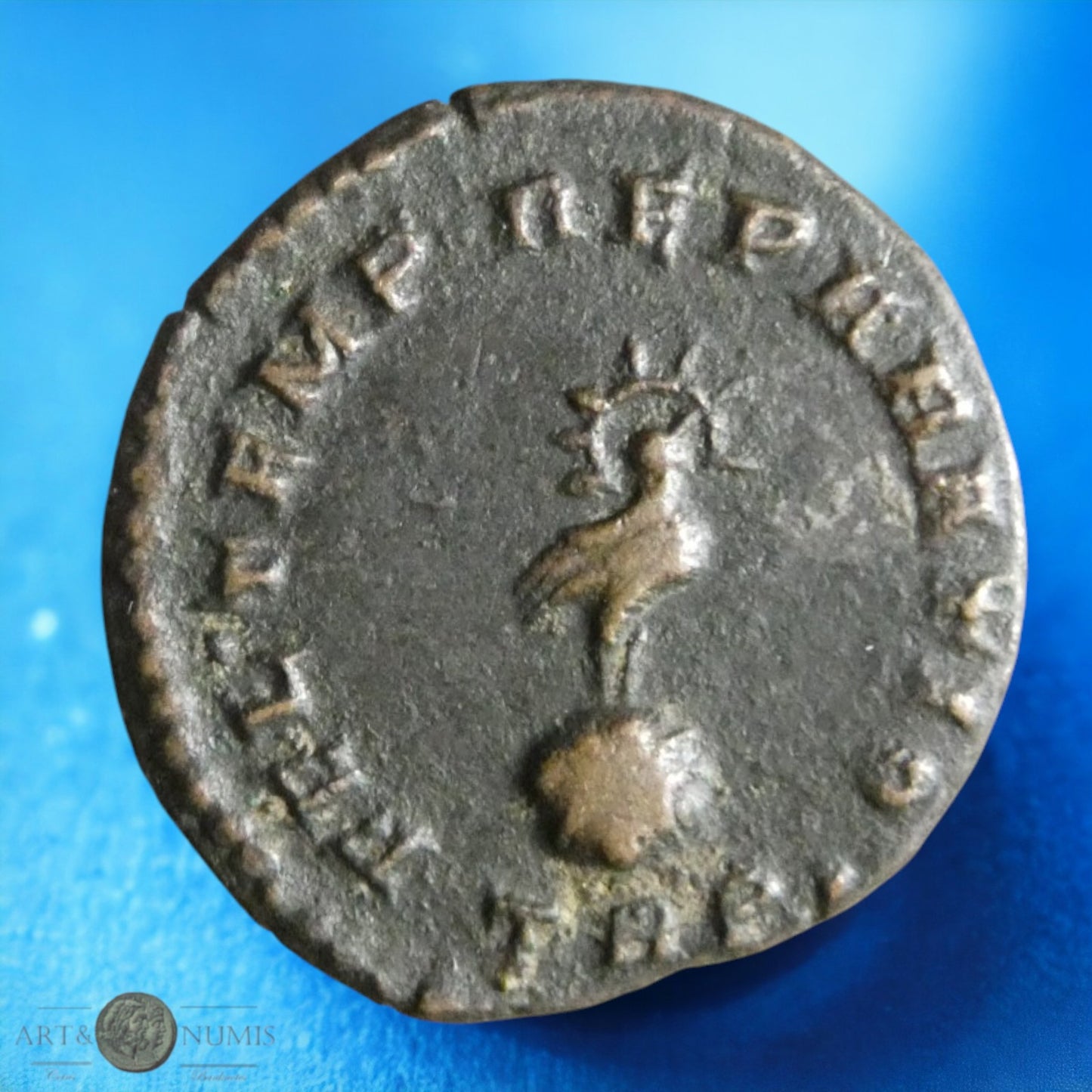 CONSTANS - 1/2 Maiorina FEL TEMP REPARATIO, Trèves, 348-349, Sear 18707