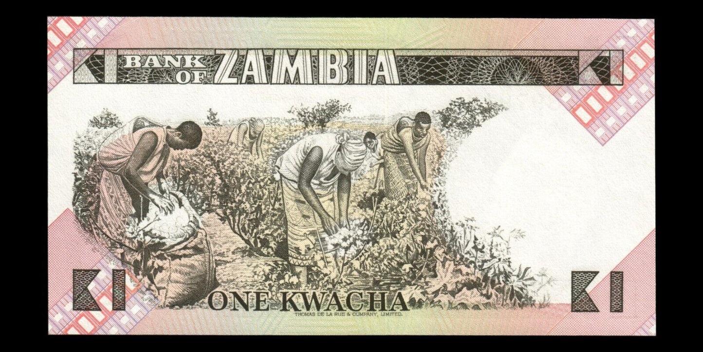 ZAMBIE - ZAMBIA - 1 Kwacha (1988) P.23b NEUF / UNC