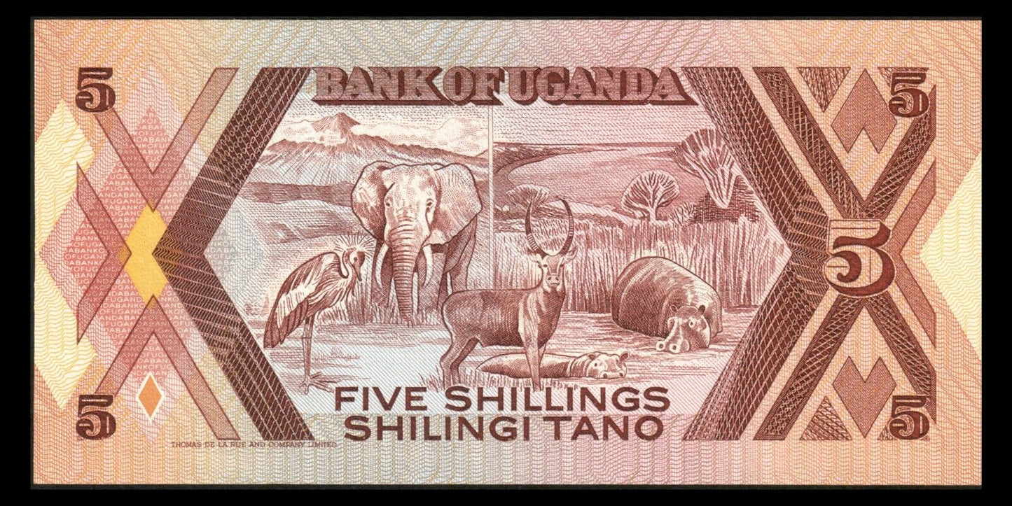 OUGANDA - UGANDA - 5 Shillings 1987 P.27 NEUF / UNC