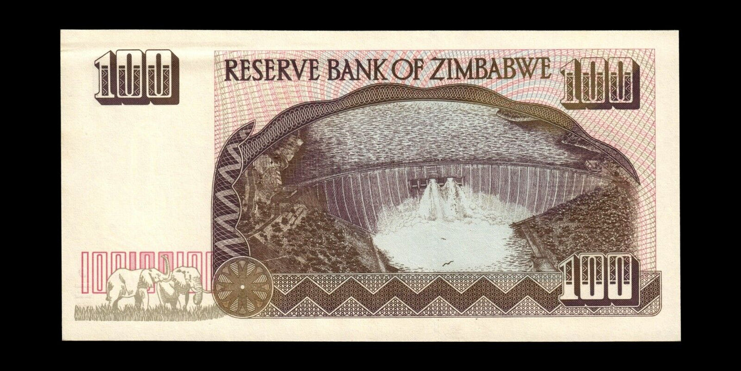 ZIMBABWE - 100 Dollars 1995 P.9a SPL / AU