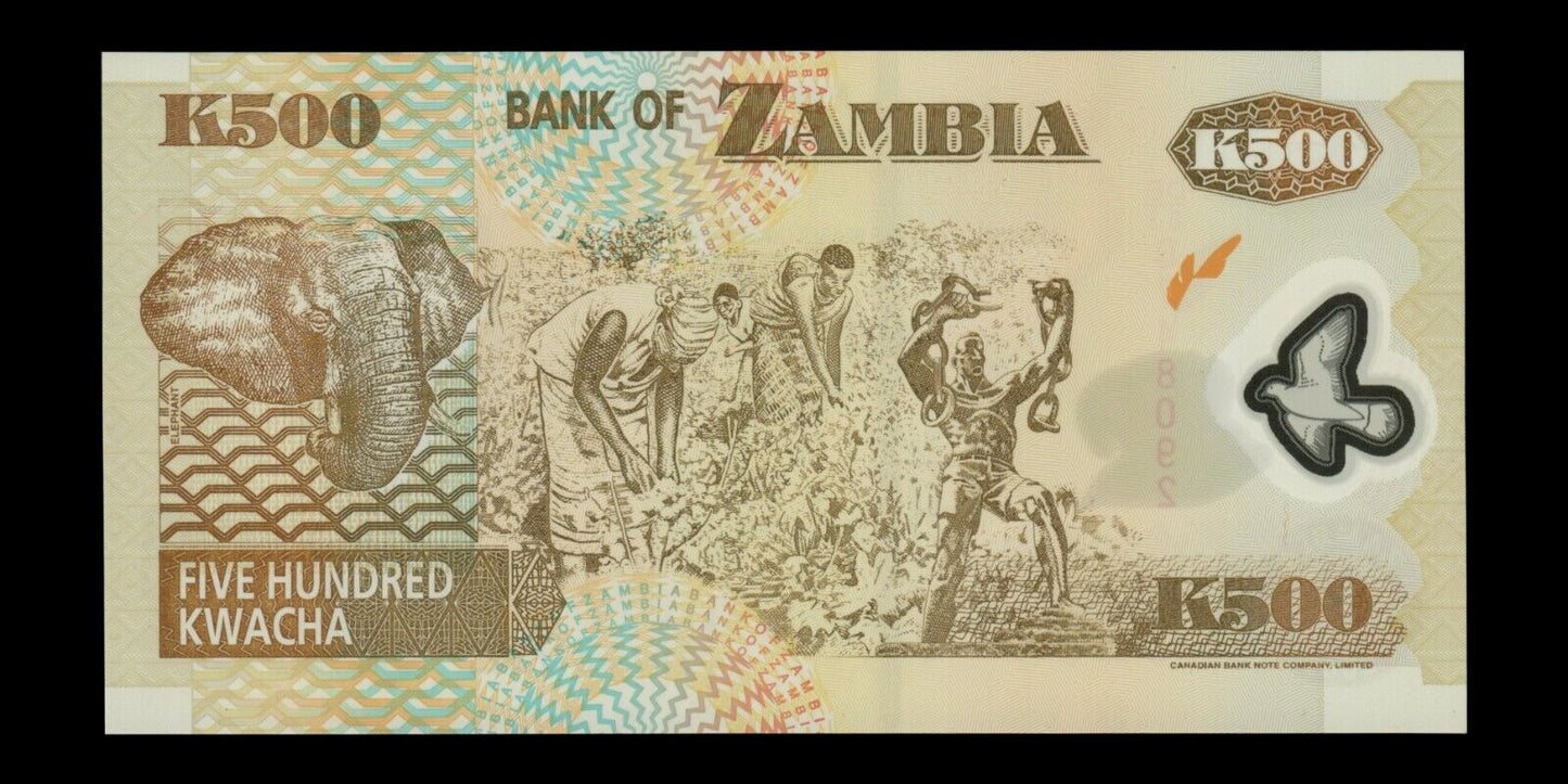 ZAMBIE - ZAMBIA - 500 Kwacha 2003 Polymer P.43b NEUF / UNC