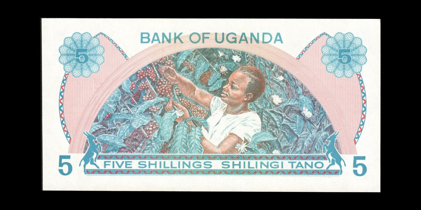 OUGANDA - UGANDA - 5 Schillings (1977) P.5A NEUF / UNC