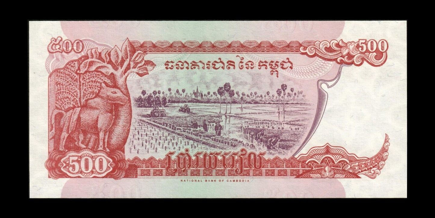 CAMBODGE - CAMBODIA - 500 Riels 1996 P.43a NEUF / UNC