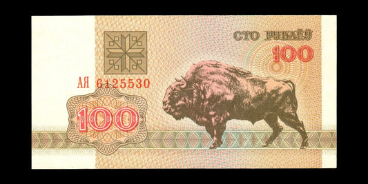 BIÉLORUSSIE - BELARUS - 100 Rubles 1992 P.8 NEUF / UNC