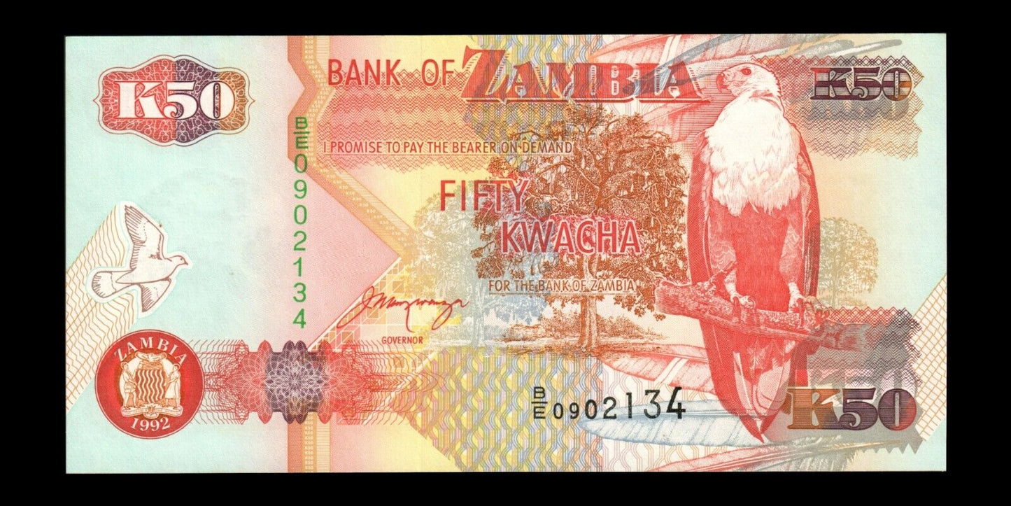 ZAMBIE - ZAMBIA - 50 Kwacha 1992 P.37b NEUF / UNC