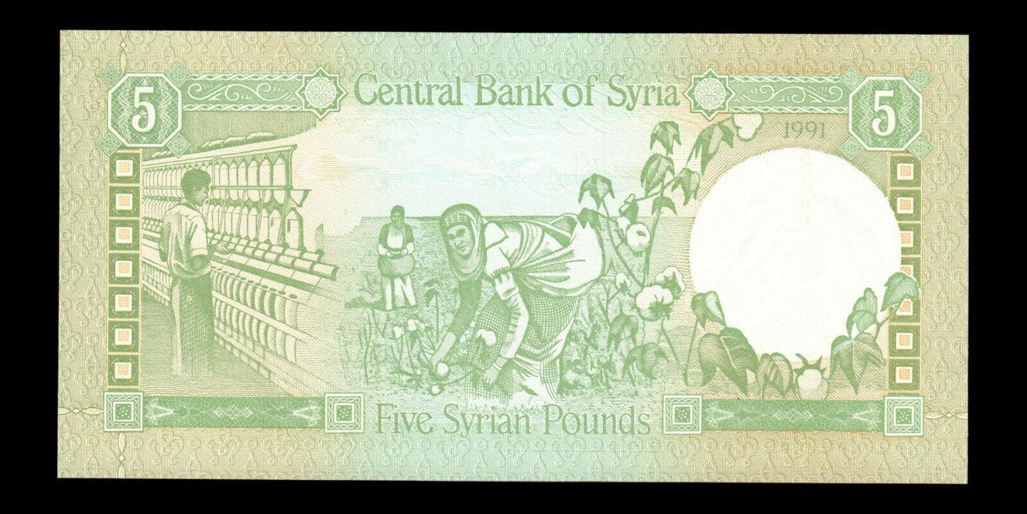 SYRIE - SYRIA - 5 Syrian Pounds 1991 P.100e NEUF / UNC