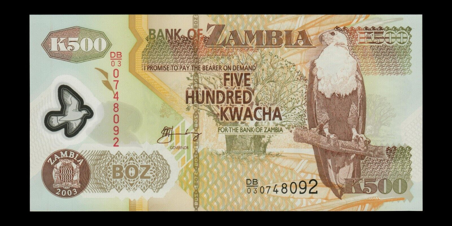 ZAMBIE - ZAMBIA - 500 Kwacha 2003 Polymer P.43b NEUF / UNC