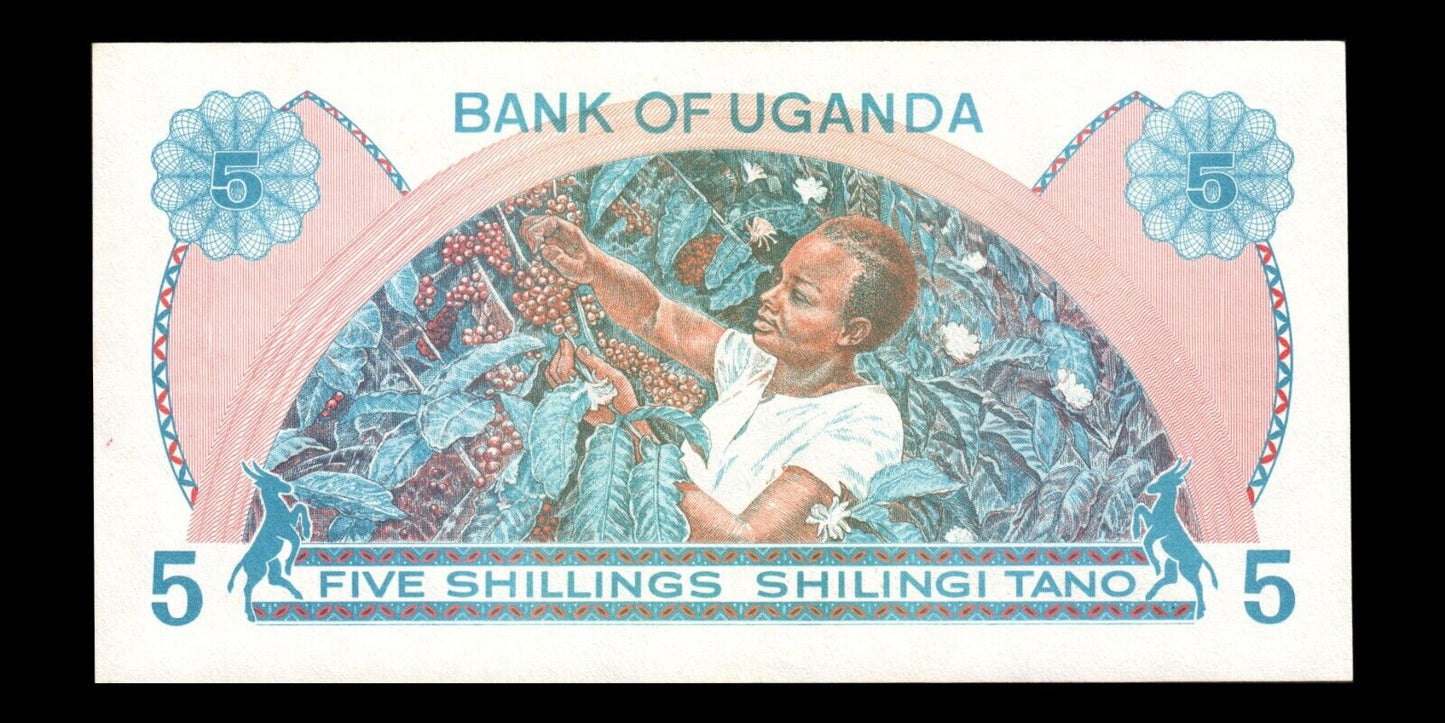 OUGANDA - UGANDA - 5 Shillings (1979) P.10 NEUF / UNC