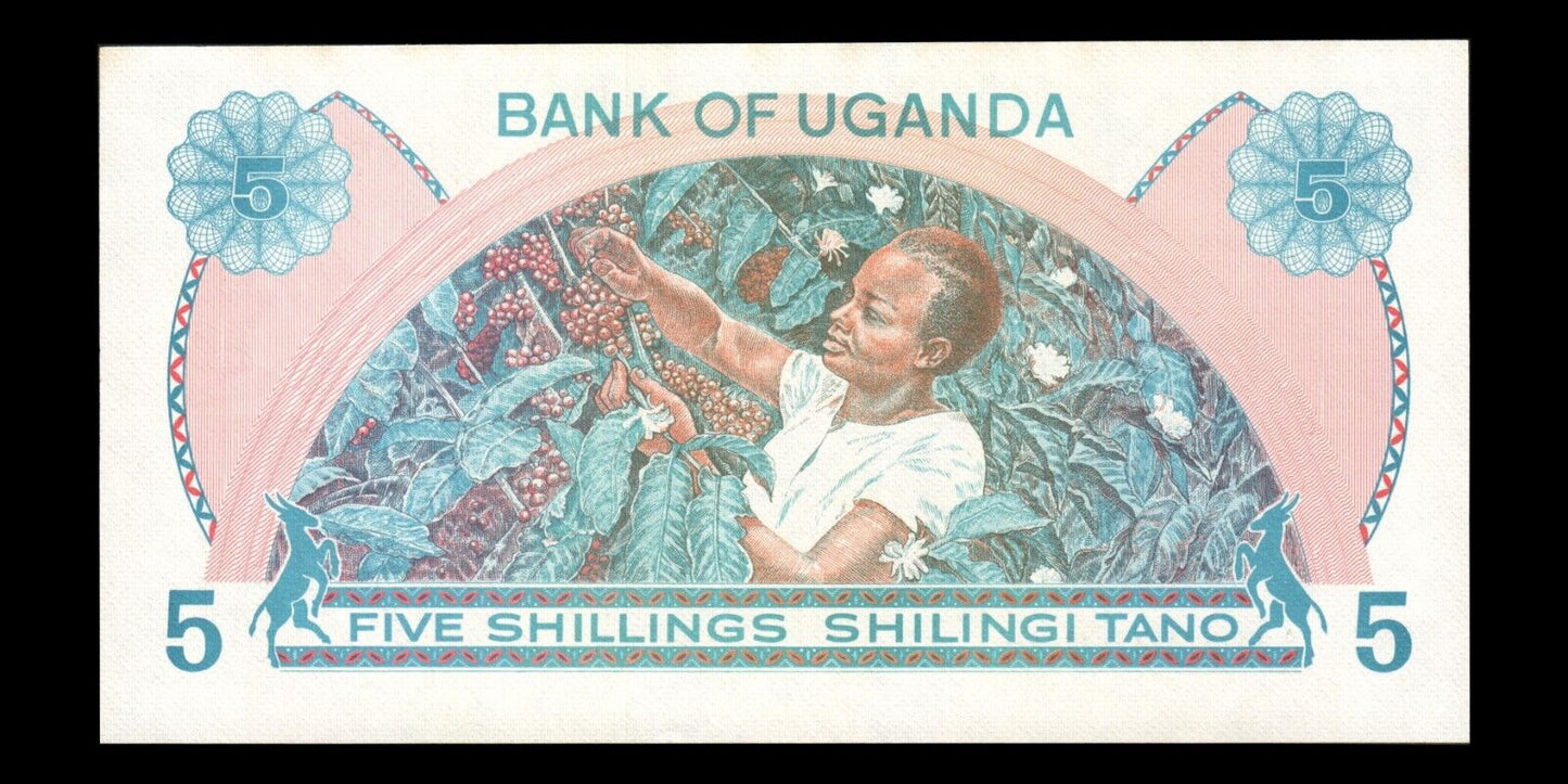 OUGANDA - UGANDA - 5 Shillings (1977) P.5A NEUF / UNC